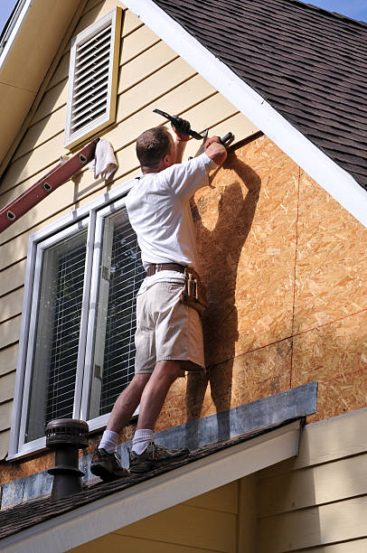 Best Siding Painting and Refinishing  in Lineville, AL